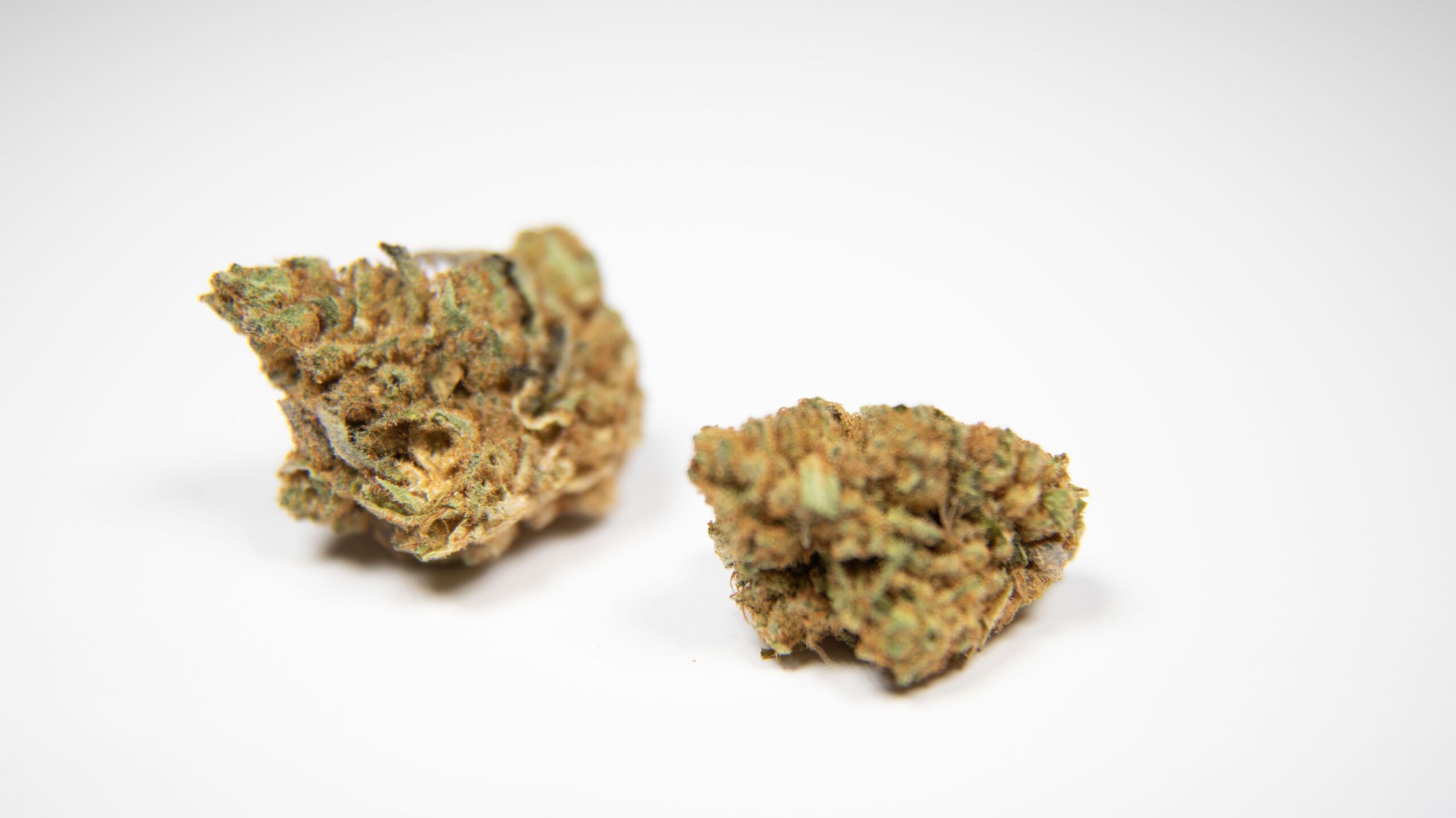 Top 5 Cannabis Strains for Focus and Attention: A Guide to Staying Sharp